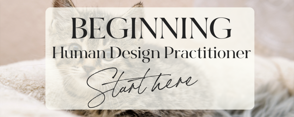 Beginning practitioner Pretty kitten